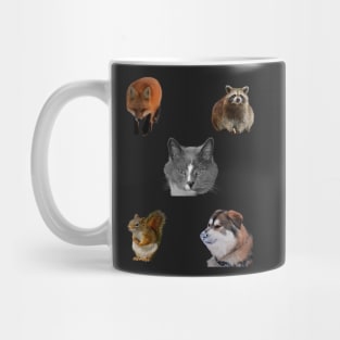 cute animals, Cat,Dog ,Squirrel, Fox and Raccoon Mug